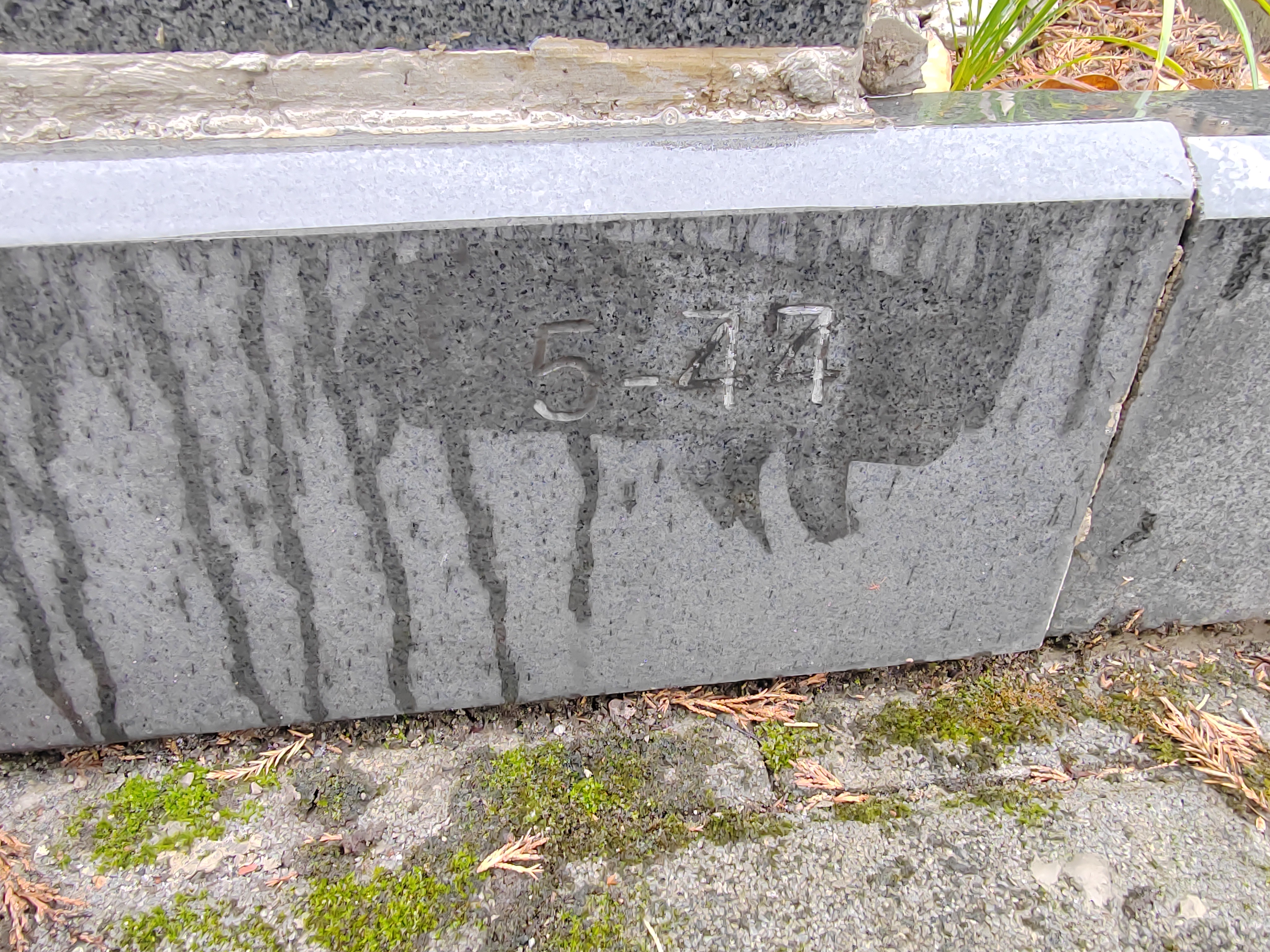 沙坪坝 遗体火化 项目