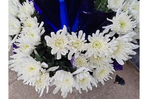 灵堂布置，传承家族文化，缅怀先人